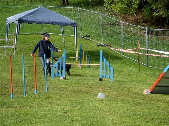 Agility 2009 – photo 40