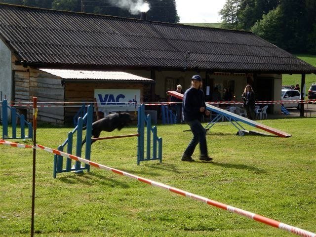 Agility 2009 – photo 41