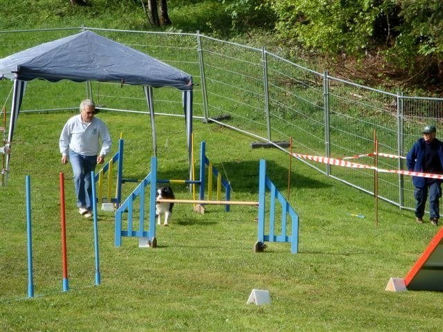 Agility 2009 – photo 42