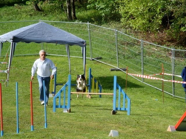 Agility 2009 – photo 43