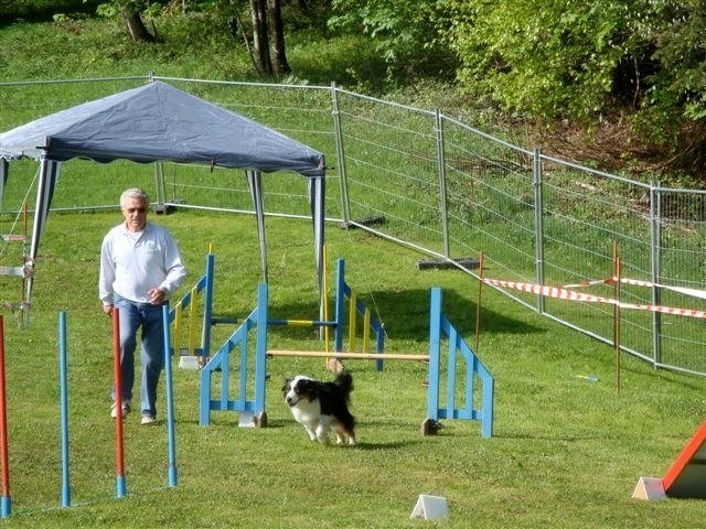 Agility 2009 – photo 44
