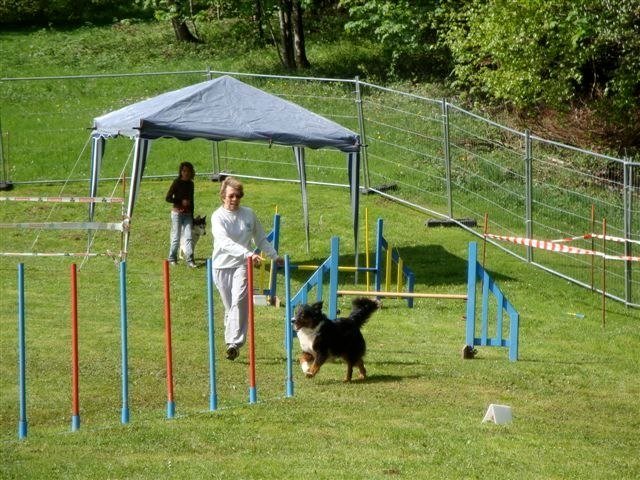 Agility 2009 – photo 49