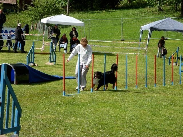 Agility 2009 – photo 50