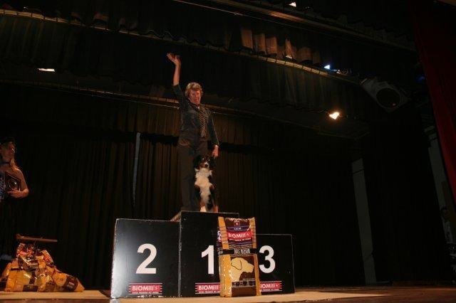 ADF 2007