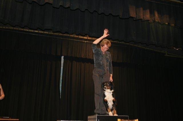 ADF 2007 – photo 2