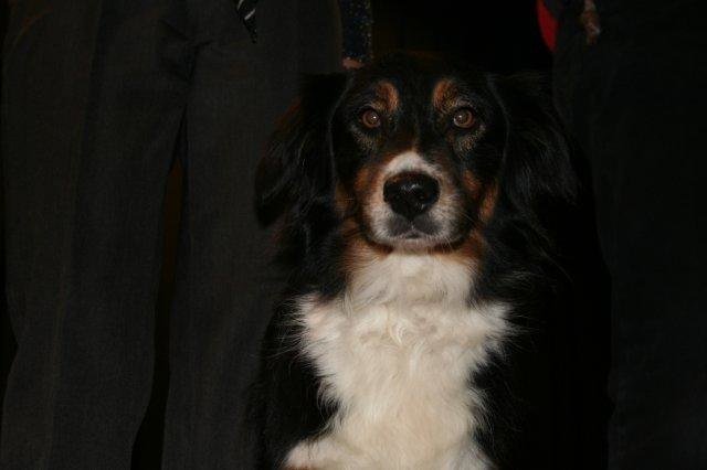 ADF 2007 – photo 6