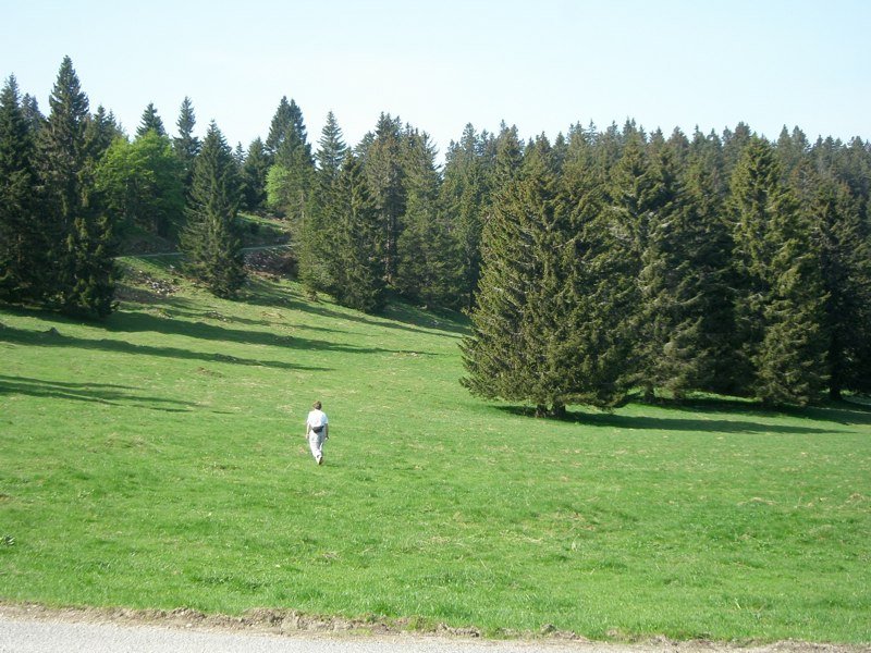 Séminaire 2009 – photo 16