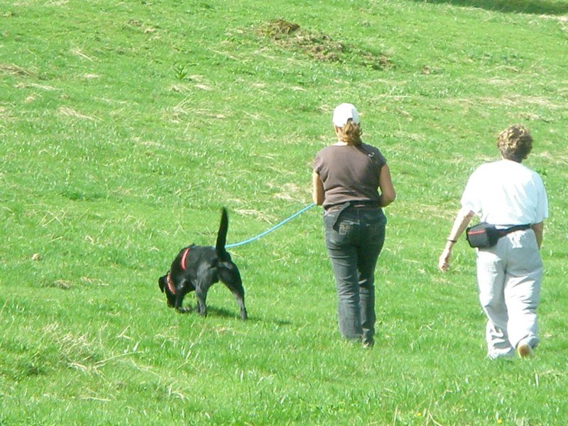 Séminaire 2009 – photo 31
