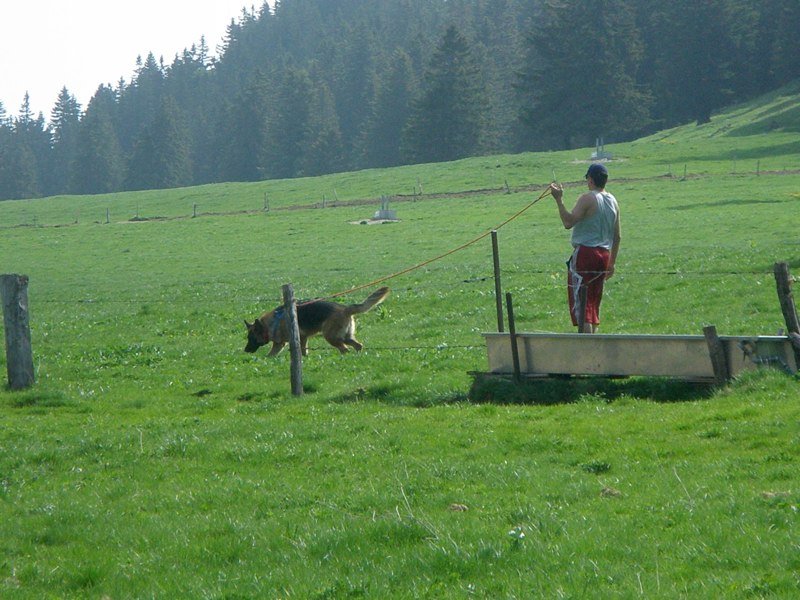 Séminaire 2009 – photo 41