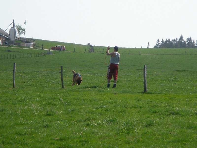 Séminaire 2009 – photo 43