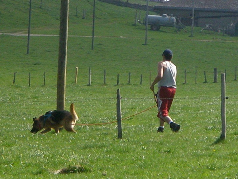 Séminaire 2009 – photo 44