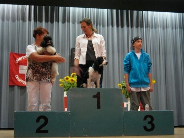 Championnat suisse agility 2010 – photo 12