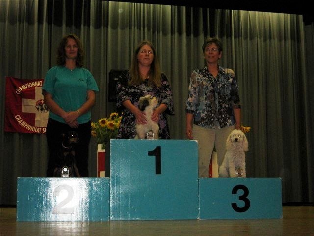Championnat suisse agility 2010 – photo 13