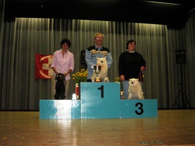 Championnat suisse agility 2010 – photo 15