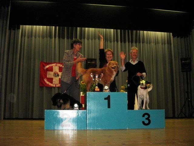 Championnat suisse agility 2010 – photo 18