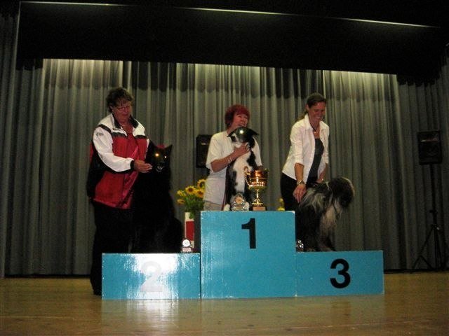 Championnat suisse agility 2010 – photo 22