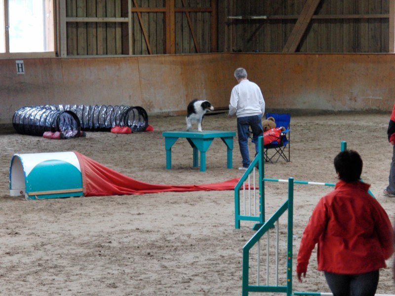 Championnat suisse agility 2010 – photo 31