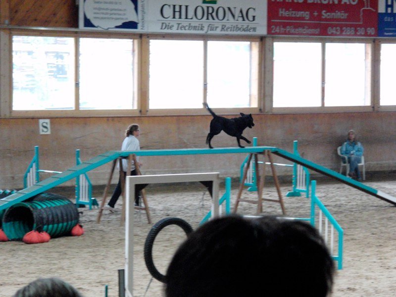 Championnat suisse agility 2010 – photo 32