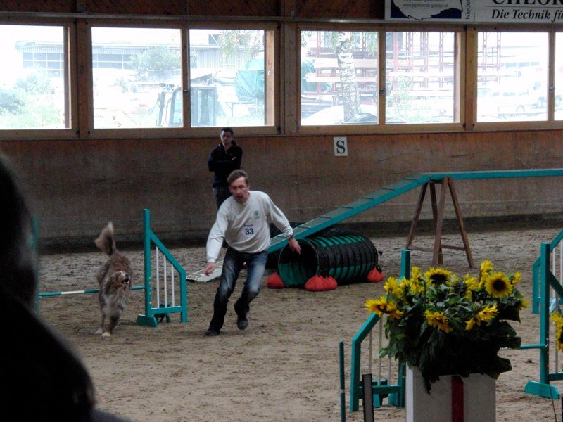 Championnat suisse agility 2010 – photo 33
