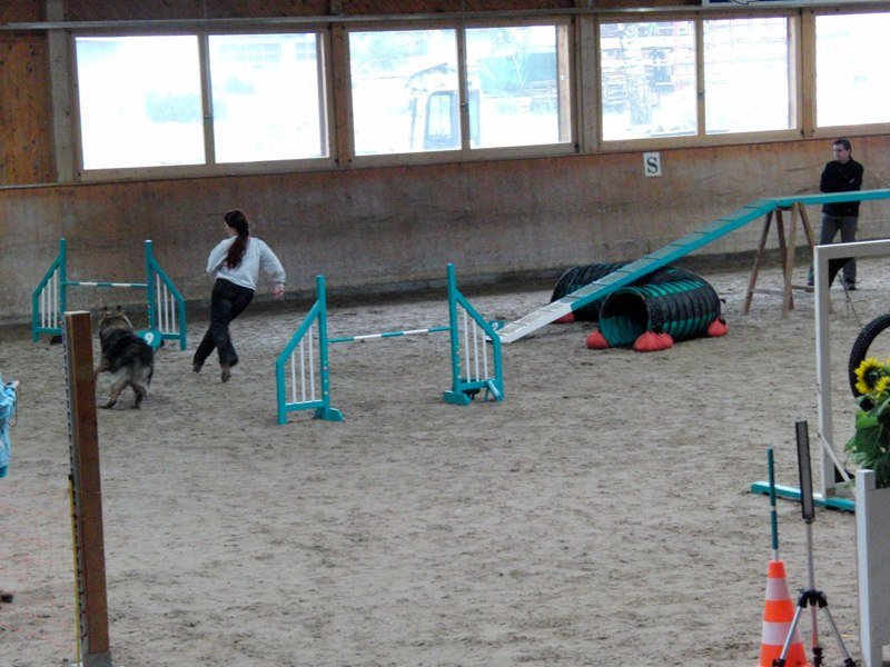 Championnat suisse agility 2010 – photo 36