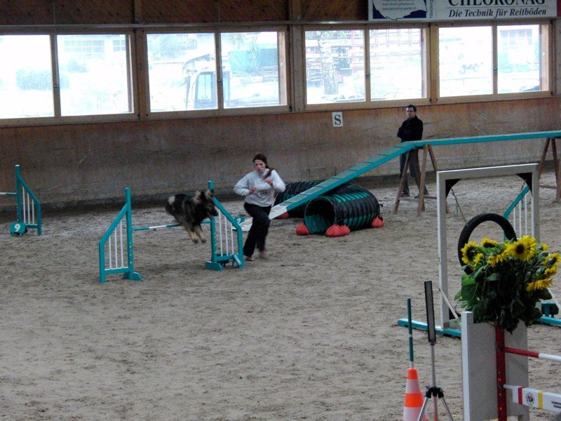 Championnat suisse agility 2010 – photo 37