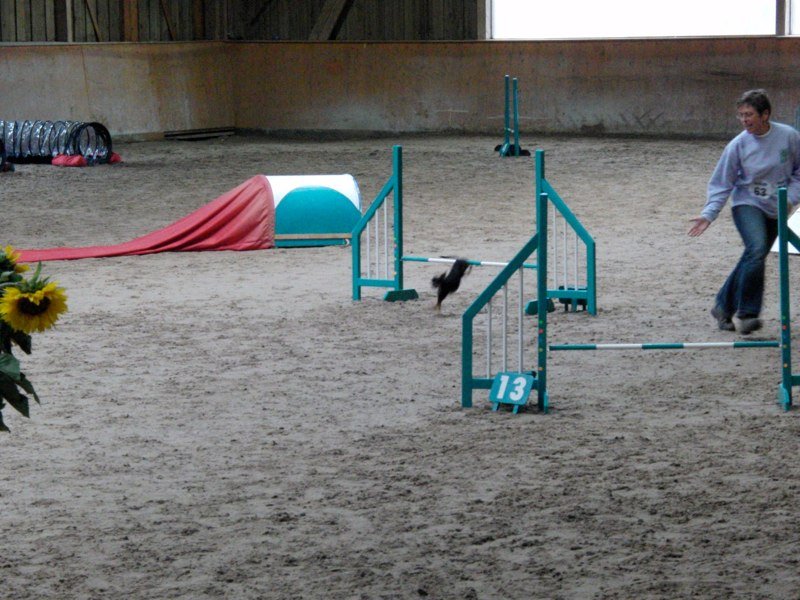 Championnat suisse agility 2010 – photo 38