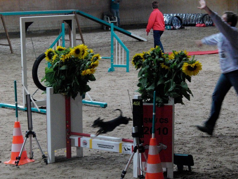 Championnat suisse agility 2010 – photo 39