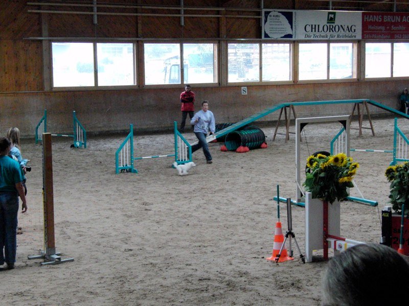 Championnat suisse agility 2010 – photo 40