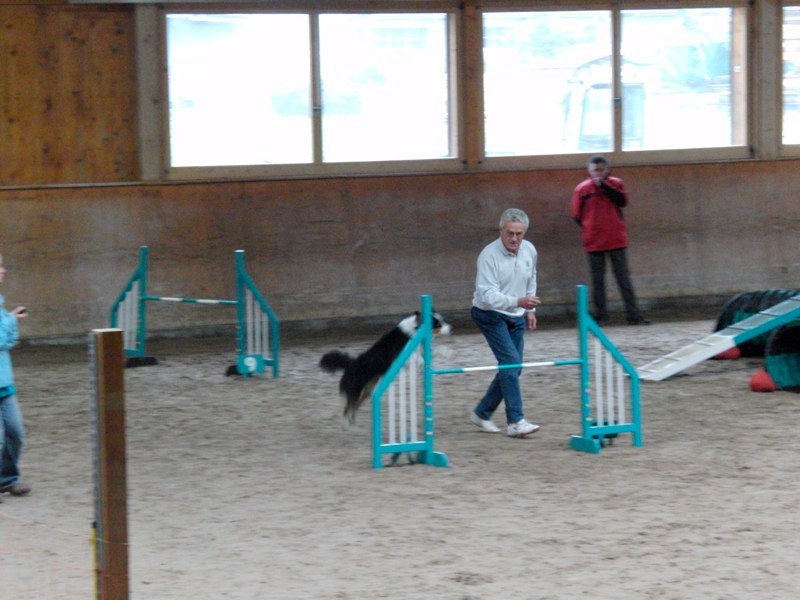 Championnat suisse agility 2010 – photo 45