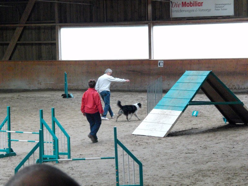 Championnat suisse agility 2010 – photo 46