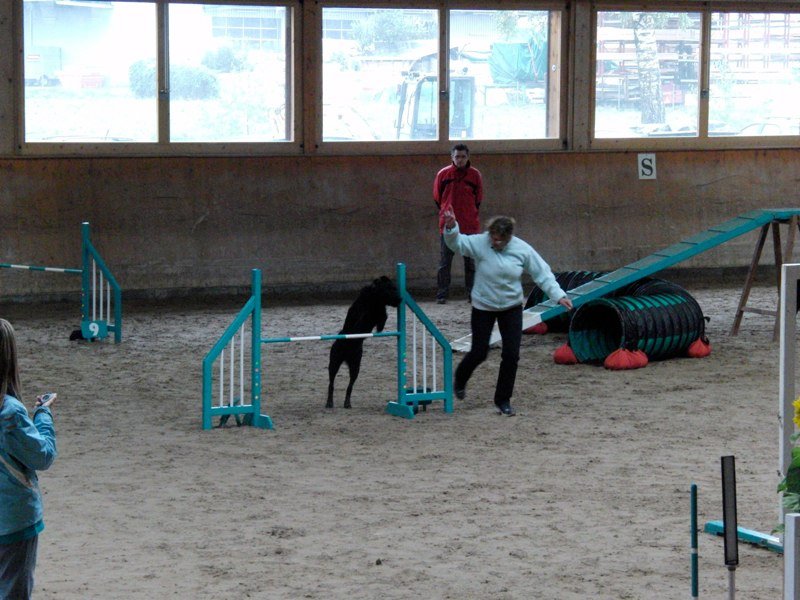 Championnat suisse agility 2010 – photo 48