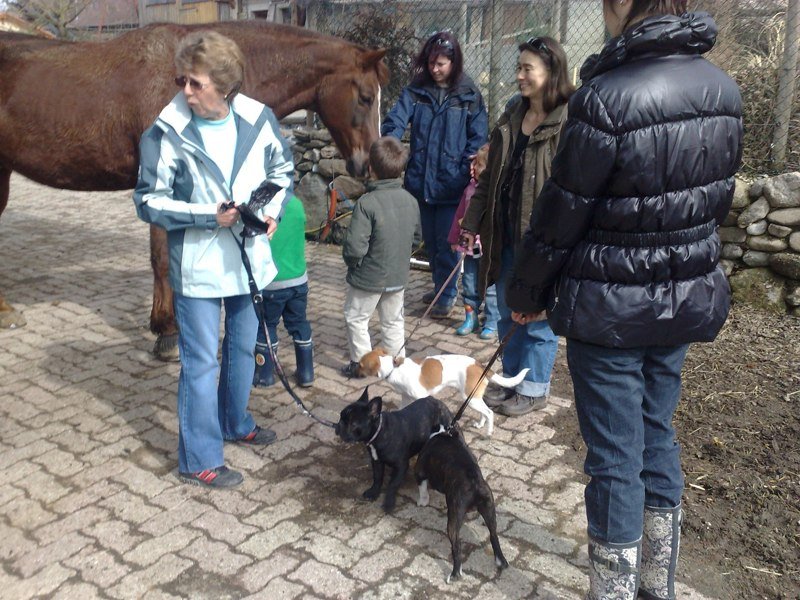 Classe chiots à la ferme 2010