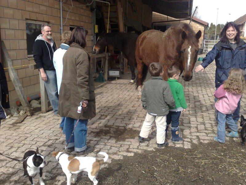 Classe chiots à la ferme 2010 – photo 2