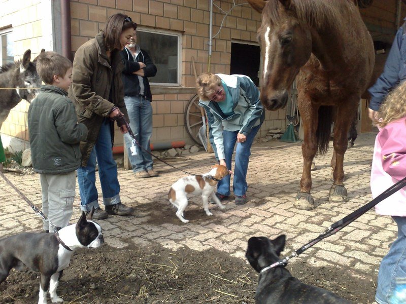 Classe chiots à la ferme 2010 – photo 3