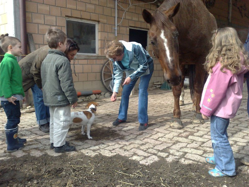 Classe chiots à la ferme 2010 – photo 4