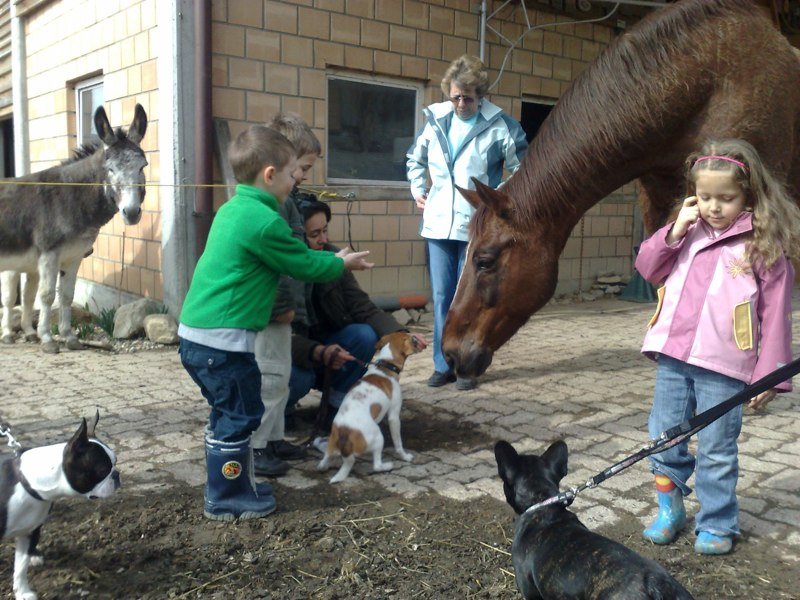 Classe chiots à la ferme 2010 – photo 5