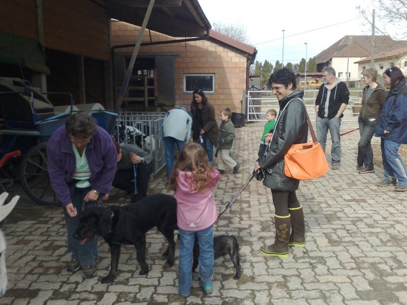 Classe chiots à la ferme 2010 – photo 16