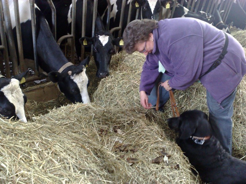 Classe chiots à la ferme 2010 – photo 19