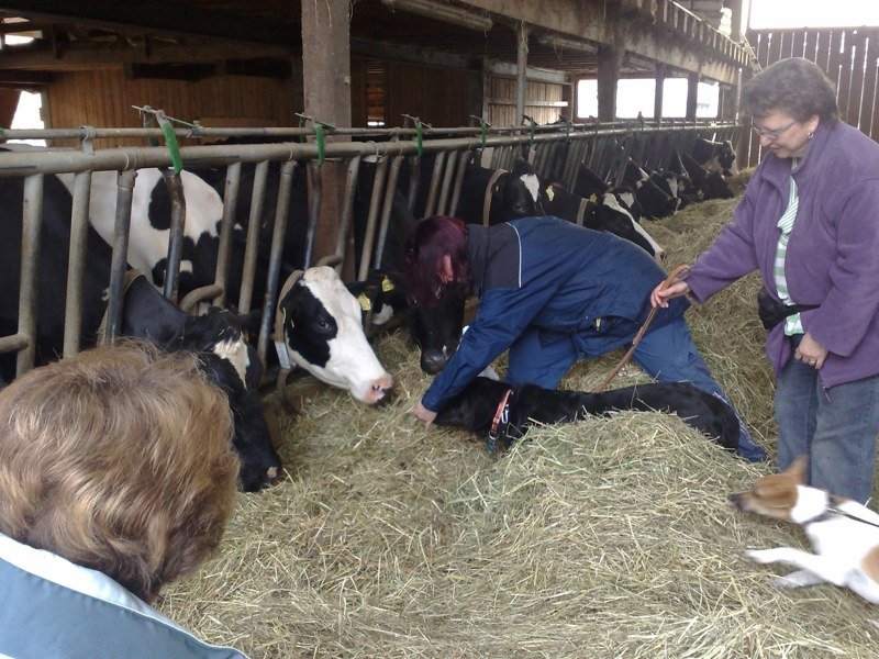 Classe chiots à la ferme 2010 – photo 23