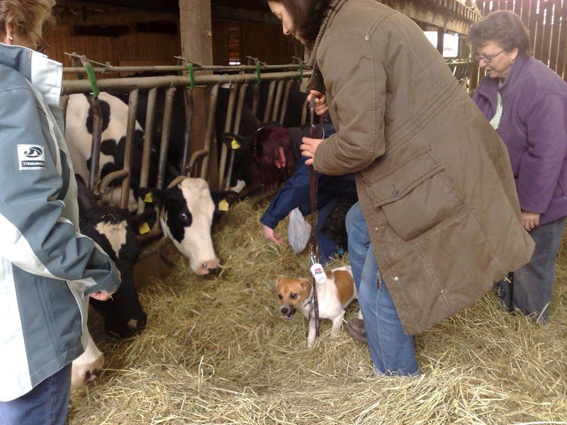Classe chiots à la ferme 2010 – photo 24