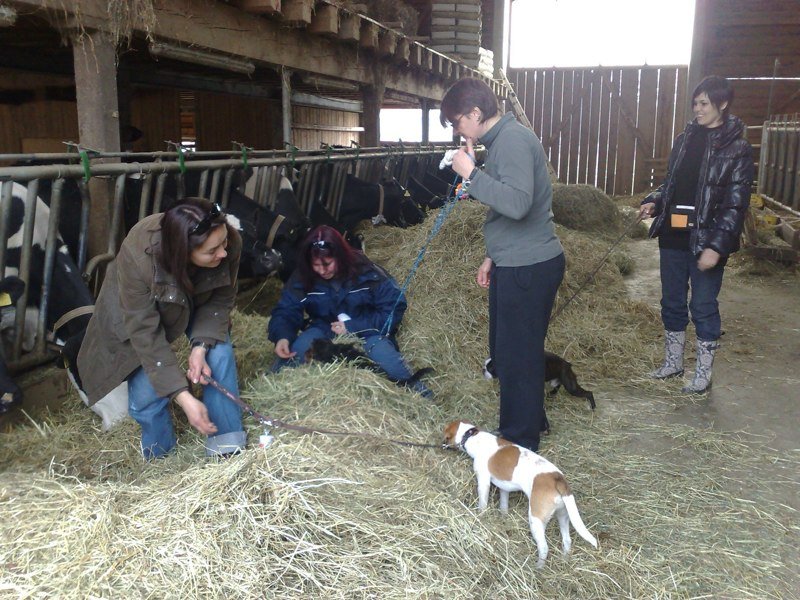 Classe chiots à la ferme 2010 – photo 26