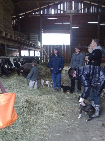 Classe chiots à la ferme 2010 – photo 30