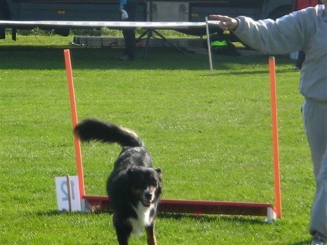 Concours La Spirale 2010 – photo 2