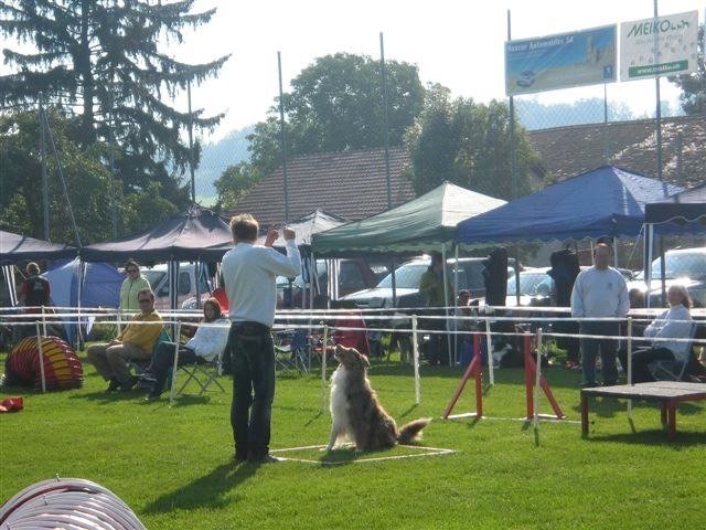 Concours La Spirale 2010 – photo 3