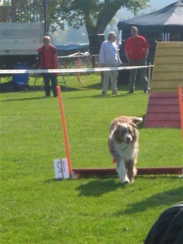 Concours La Spirale 2010 – photo 4