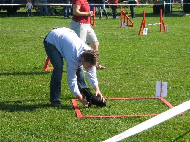 Concours La Spirale 2010 – photo 5