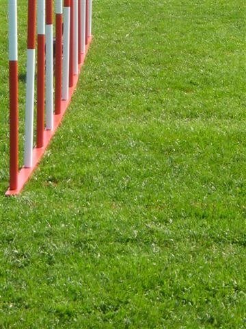 Concours La Spirale 2010 – photo 7