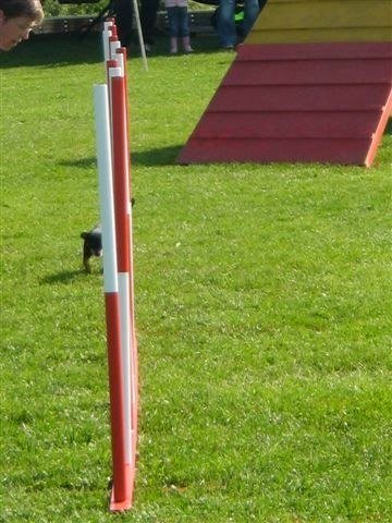 Concours La Spirale 2010 – photo 8