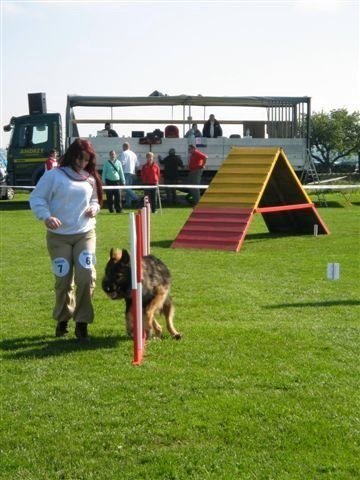 Concours La Spirale 2010 – photo 11