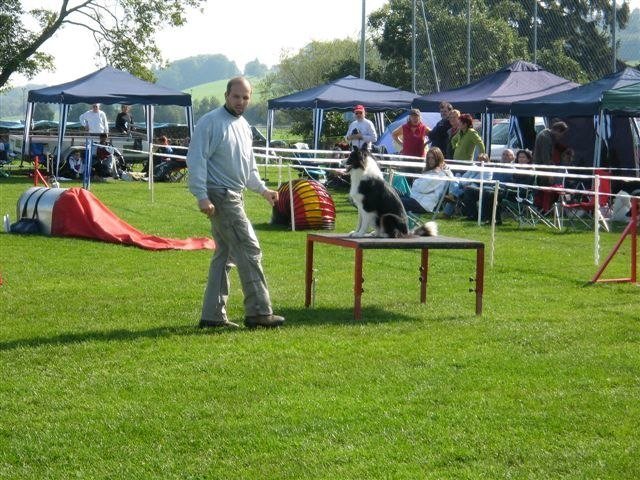 Concours La Spirale 2010 – photo 14